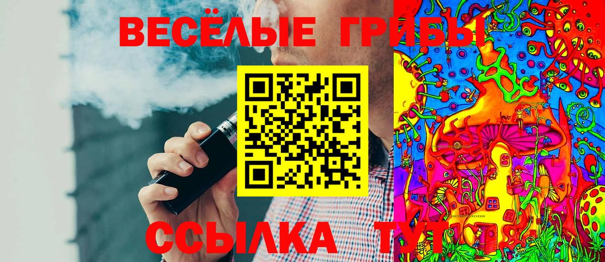 Псилоцибиновые грибы GOLDEN TEACHER Ногинск