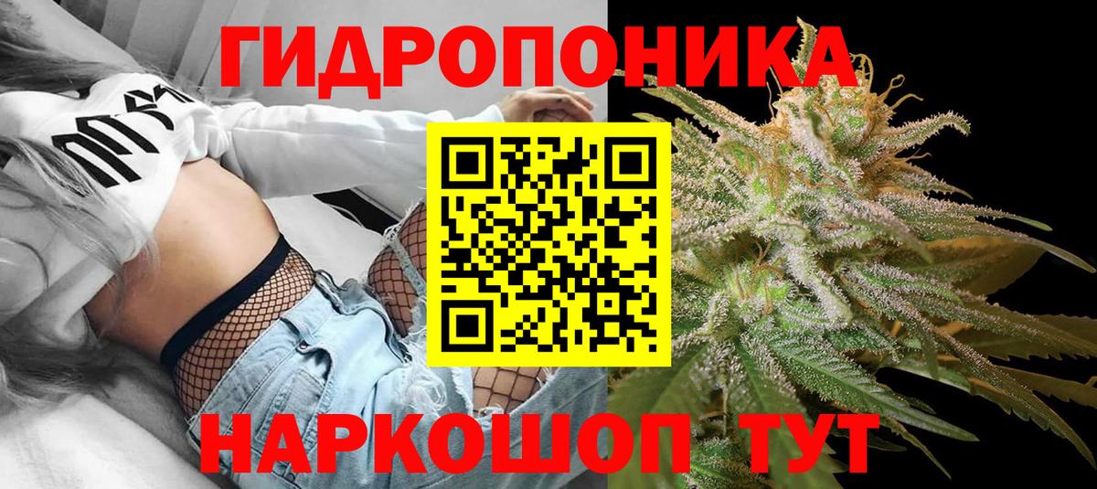 Конопля марихуана Ногинск